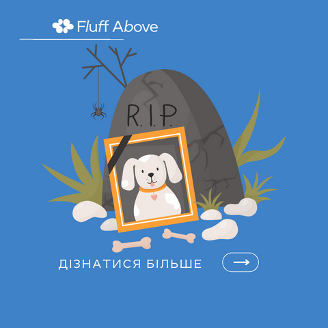 Чи можна поховати пета на дачі?