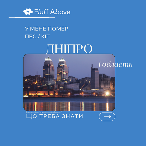 Дніпро та Дніпропетровська область: кремація та поховання домашніх тварин