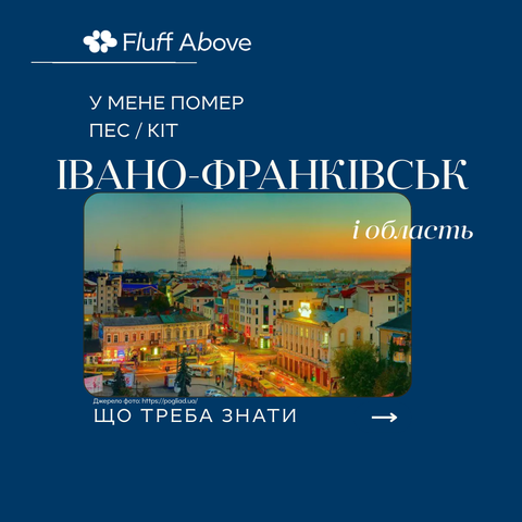 Івано-Франківськ та Івано-Франківська область: кремація та поховання домашніх тварин