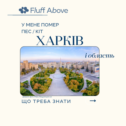 Харків та Харківська область: кремація та поховання домашніх тварин