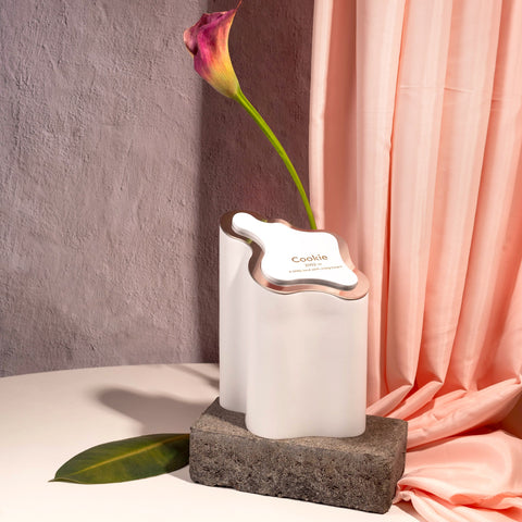 Eco-friendly mini urn for cats and dogs