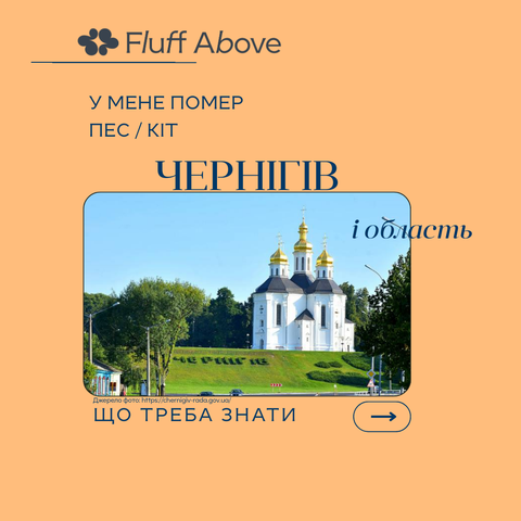 Чернігів та Чернігівська область: кремація та поховання домашніх тварин