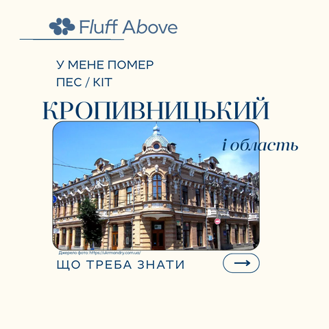 Кропивницький та Кіровоградська область: кремація та поховання домашніх тварин