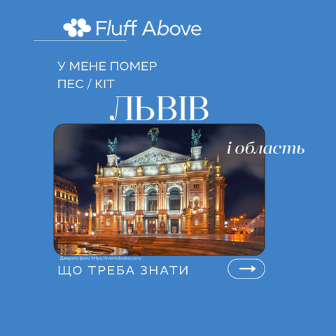 Львів та Львівська область: кремація та поховання домашніх тварин