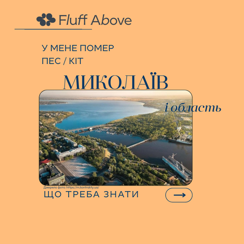 Миколаїв та Миколаївська області: кремація та поховання домашніх тварин
