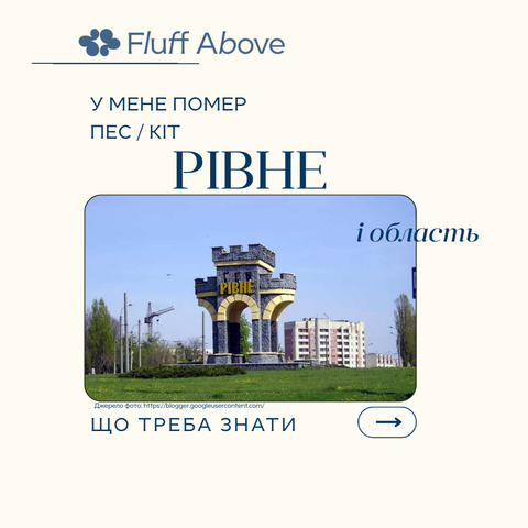 Рівне та Рівненська область: кремація та поховання домашніх тварин