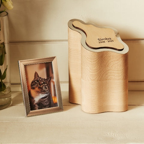 Aesthetic LLUMI Nature Walk Pet Urn for Celebrating Your Pet’s Life